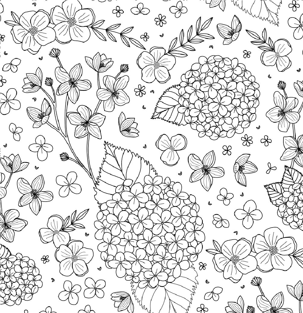 Floral Doodling Workshop