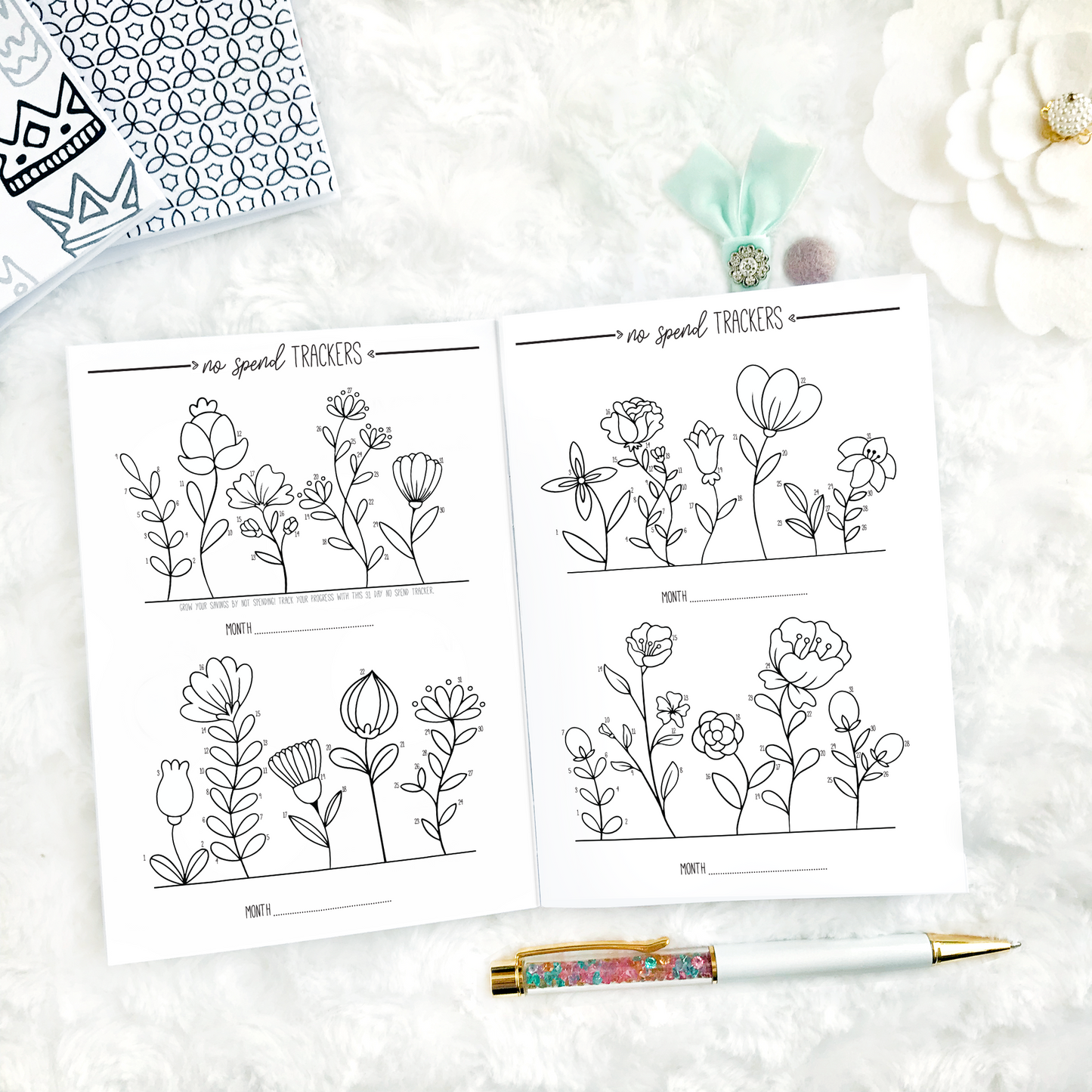 Financial Planner & Monthly Budget | Printed