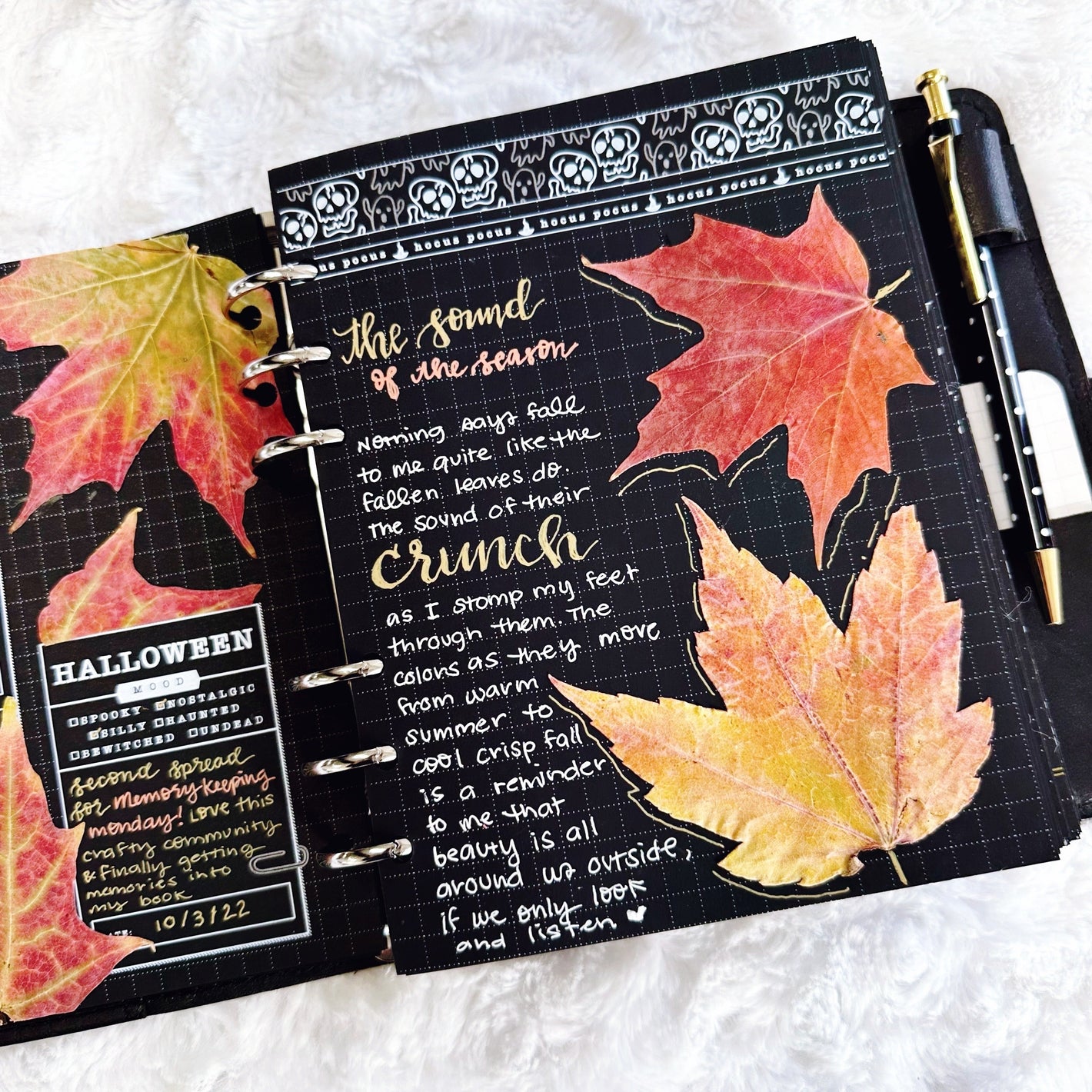 Holiday Planner Inserts & Memory Keepers | LPA
