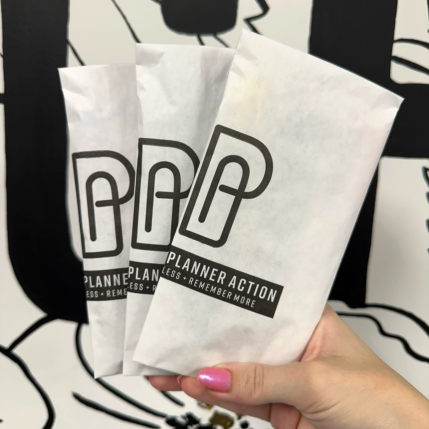 Pen Lover Grab Bag