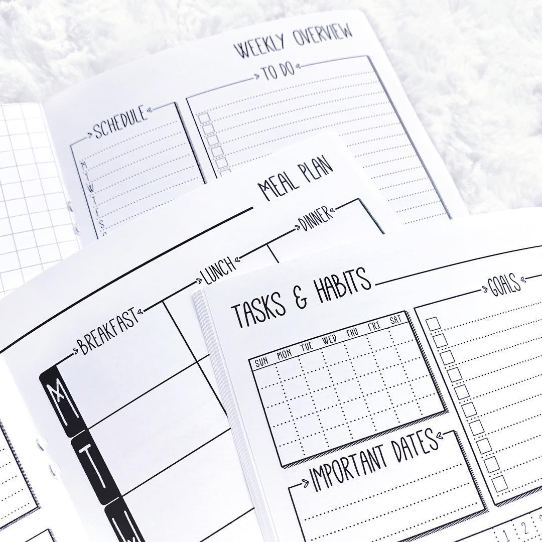 Lights Planner Action Planner Inserts | The Pheobe All Inclusive ...